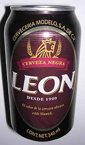 Picture of Leon Beer